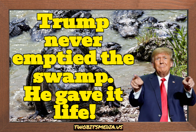 Trump never emptied the swamp.